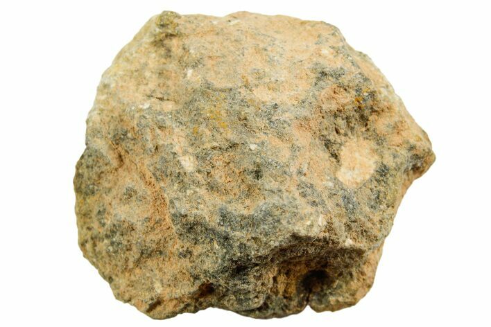 Howardite Meteorite ( g) - Bechar #348427